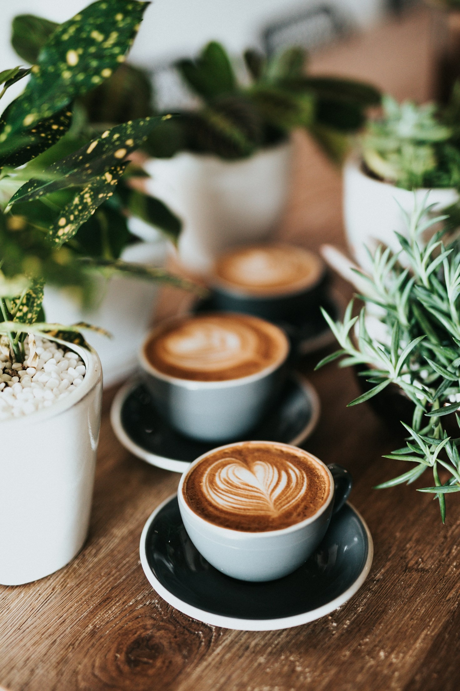 The Secret To Perfect Home Brewing
